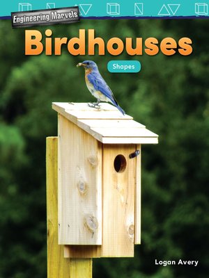 cover image of Engineering Marvels: Birdhouses Shapes